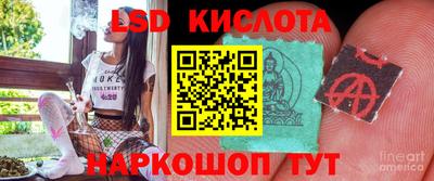 крисы Малгобек