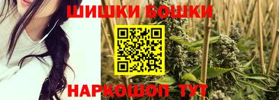 крисы Малгобек